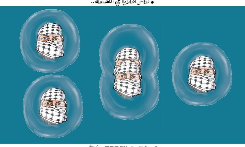 تكاثر الخلايا في الضفة